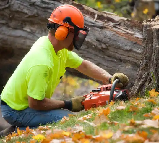 tree services Lawtell